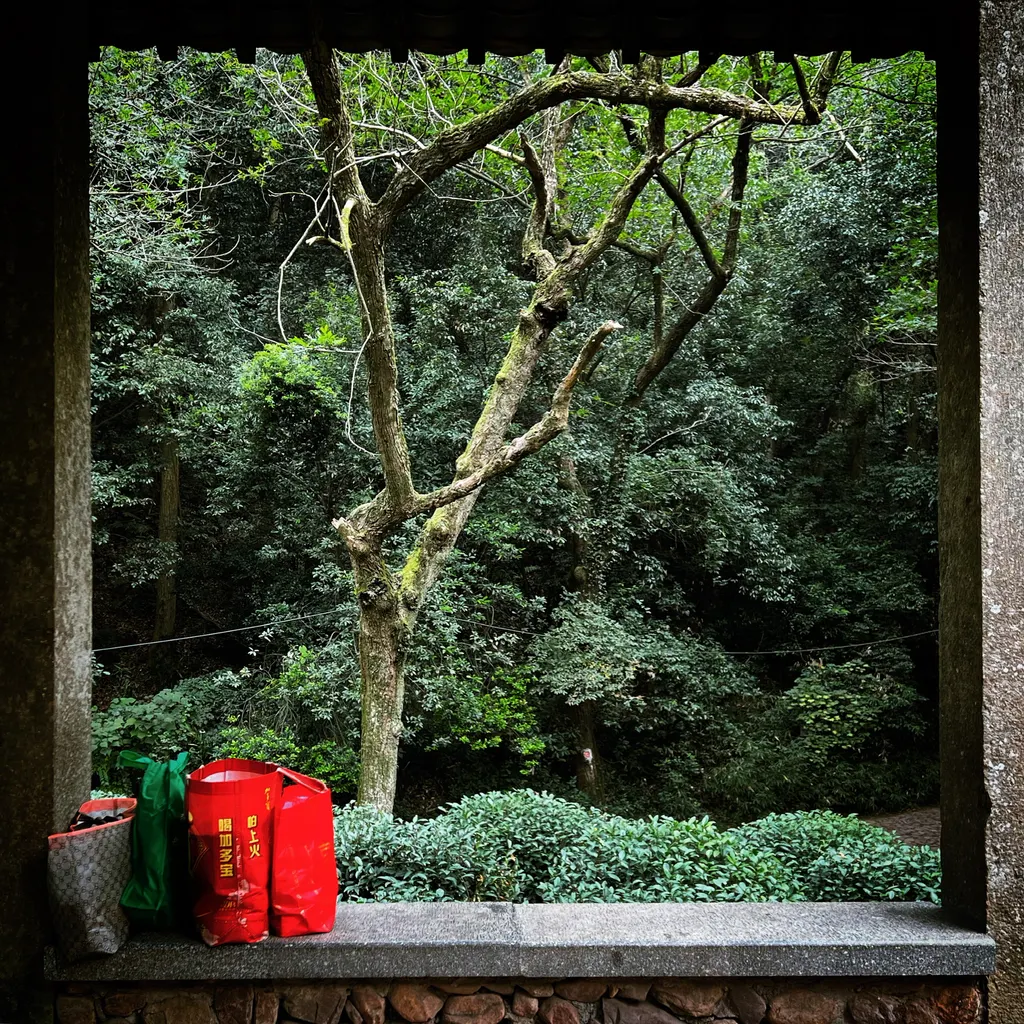 风景
